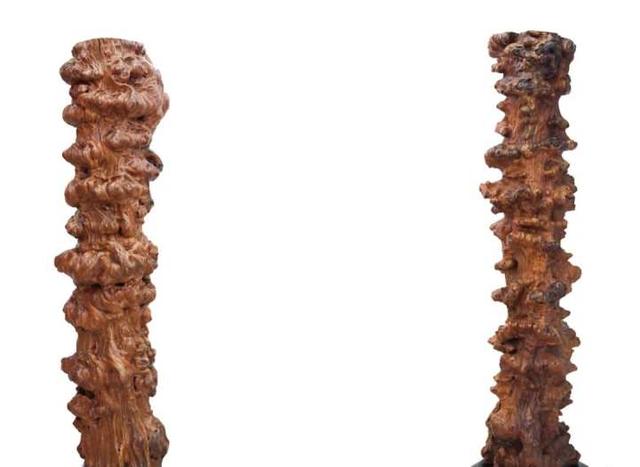 崇文馆开馆!艺术大师齐聚杭州这所学校,助力孩子们成就艺术之梦