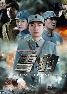 雪豹28(一部大型抗战经典抗战剧《雪豹》剧情介绍)
