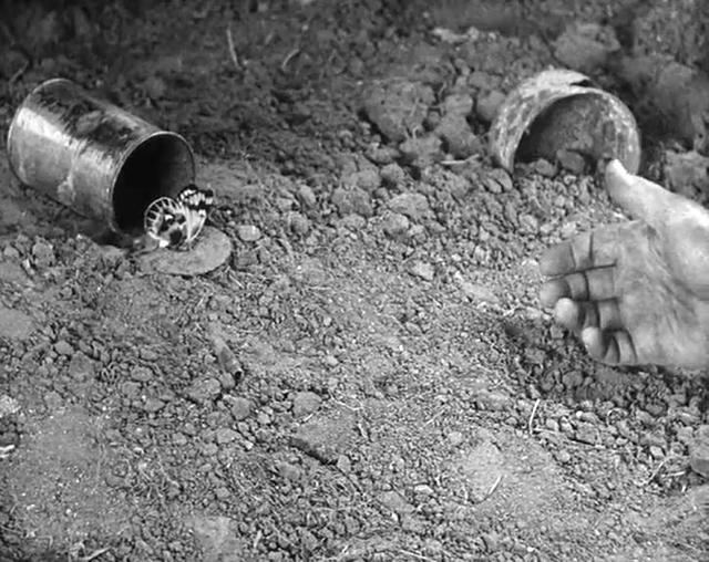 新版《西线无战事》拍成了一种轮回