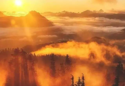 别去找了，书香里的“秋天”才是最美的