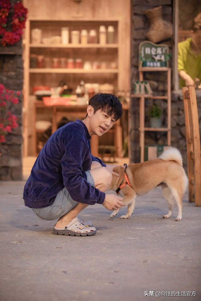 愿一切美好如初，《向往的生活》第六季治愈回归