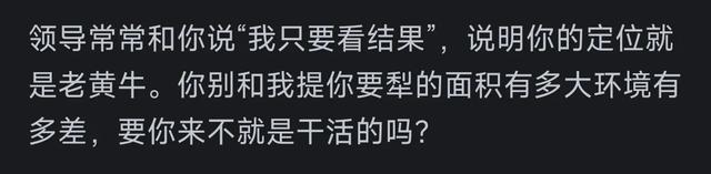 为什么领导总说“我只看结果”?网友搞笑回复,让人感慨万千啊!