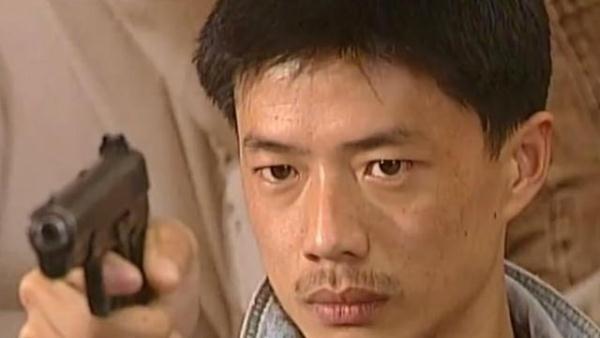 李幼斌和王志文主演的刑警本色，还有李晨段奕宏