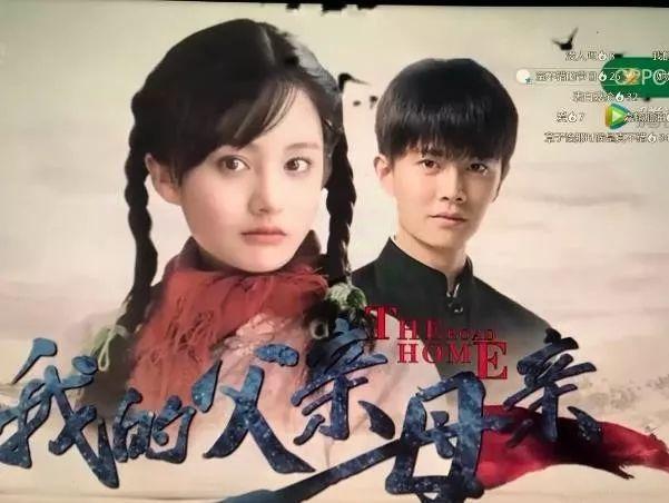 “流量小花”郑爽的堕落史