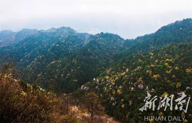 雪峰山脉，春意盎然，好看好吃更好玩！