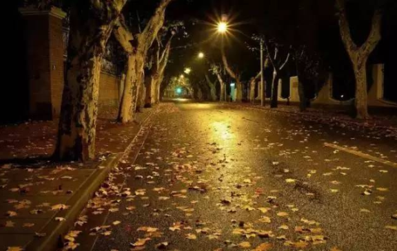 别去找了，书香里的“秋天”才是最美的