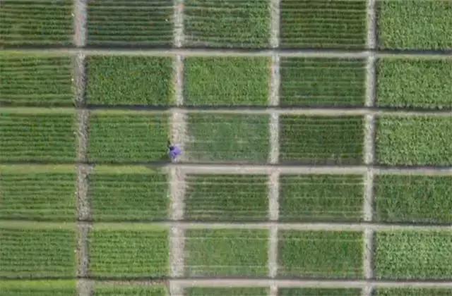 农业气象:南方降雨无止无休,到底要下到何时?气象专家给了答案