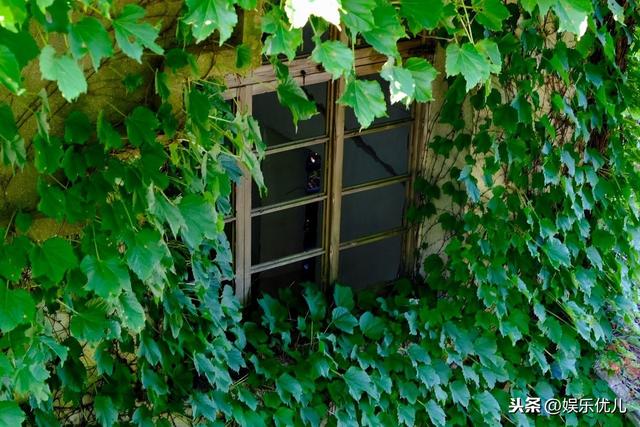 电影评选出的100句经典英文台词