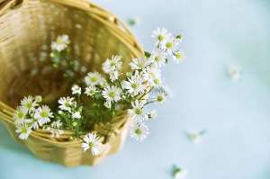 老公我好爱你(老公想和你过一辈子，很爱你，会有一个表现)