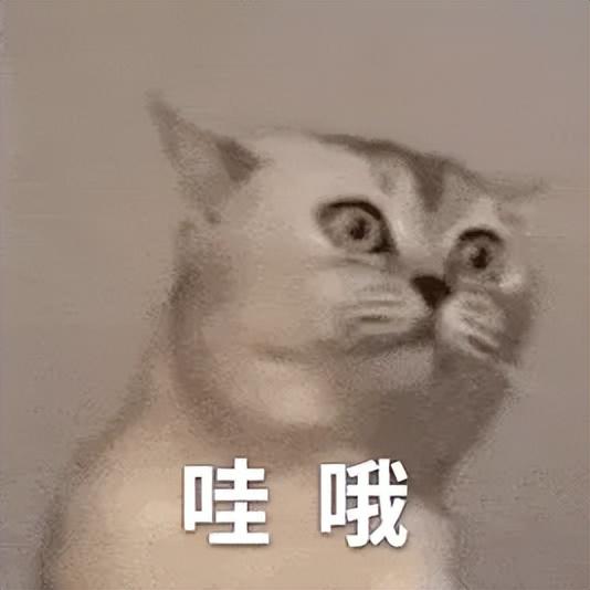 我要和你一起唱！贵阳路边音乐会全网寻找唱歌搭子