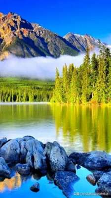 思索(思索是另一种咀嚼)