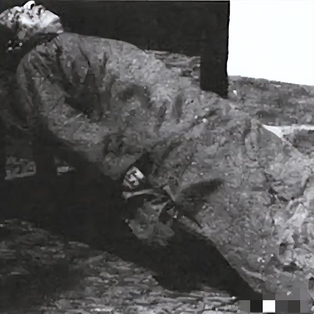 二号大汉奸，曾任代主席，枪决后妻子逃国外，今儿子身价过亿