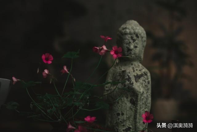 一饮一啄，莫非前定；世间万事，皆有来因；你是吉人，自有天相