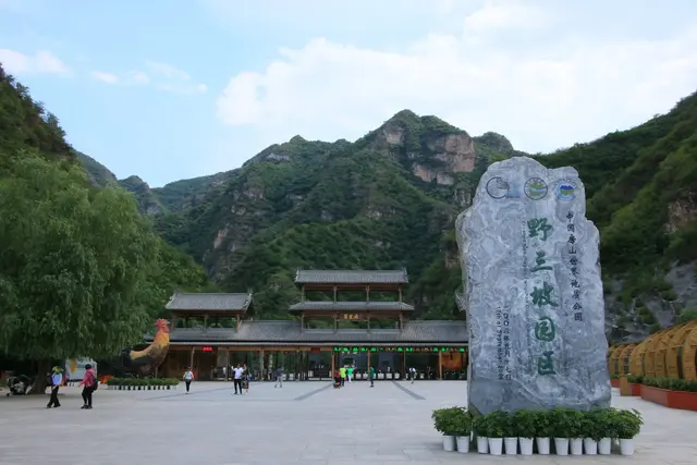 1989年,北大姐姐坠崖身亡,6年后清华妹妹中毒瘫痪,怎么回事?