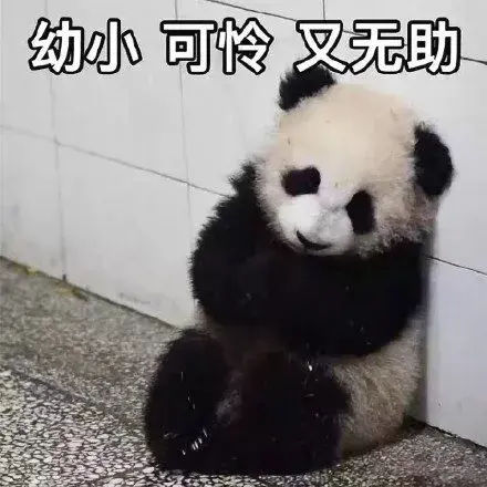 不可收拾(三名男子自从炸过一次粪坑后上瘾，从此一发不可收拾，还录下来日后“欣赏”)