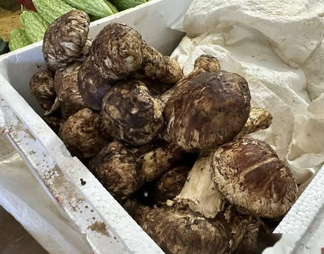 舌尖上的攀枝花，这8种美食值得你一试