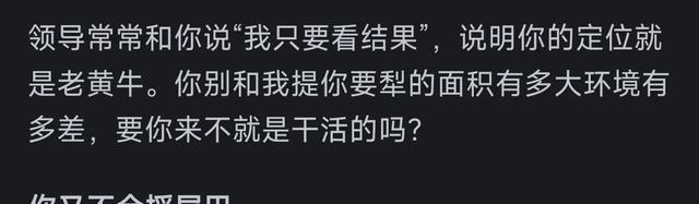 为什么领导总说“我只看结果”?网友搞笑回复,让人感慨万千啊!