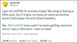 告鸟(这只“鸟”宣布打完疫苗后，美国有人不高兴了)