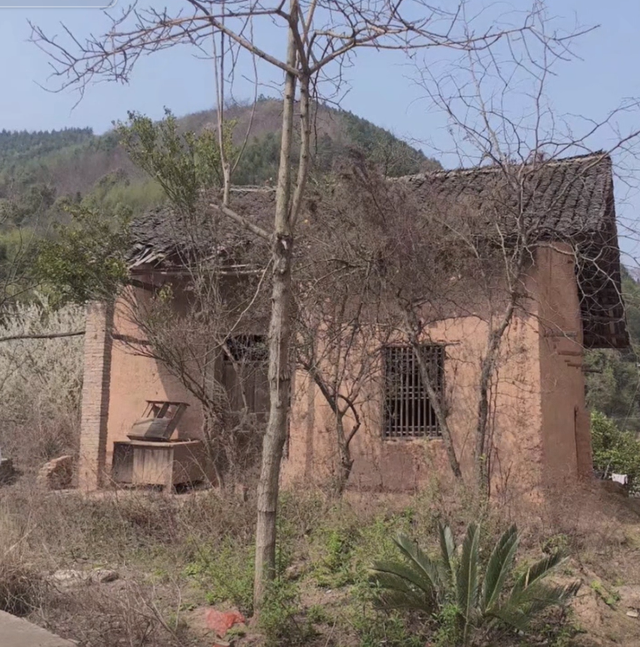 湖南女孩被誉为抖音“余华”，文笔细腻回忆童年，外婆是唯一女主