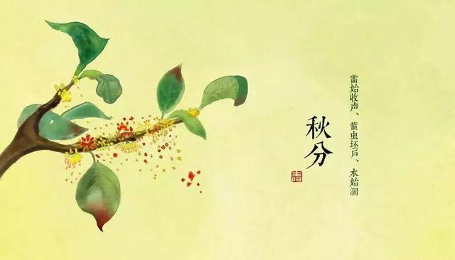 夜话丨金气秋分，风清露冷秋期半，情真心暖锦衣添