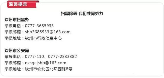 经济日报社社长张小影来钦调研