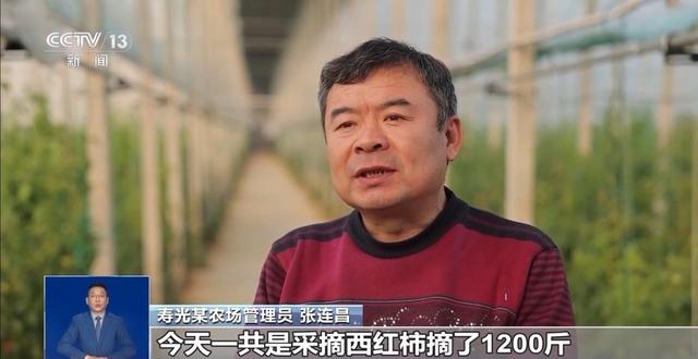 市场迎来消费高峰 “米袋子”“菜篮子”满满当当