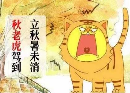 别去找了，书香里的“秋天”才是最美的