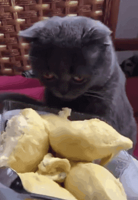 三名男子自从炸过一次粪坑后上瘾,从此一发不可收拾,还录下来日后“欣赏”