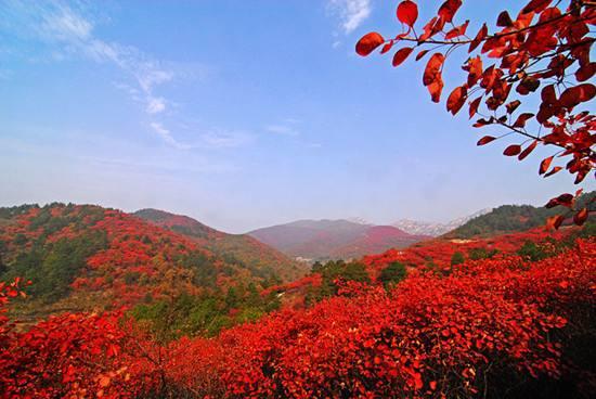 别去找了，书香里的“秋天”才是最美的