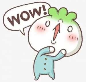 卖内裤(一条内裤“卖出”1500元“良心”商家是怎么做到的？)