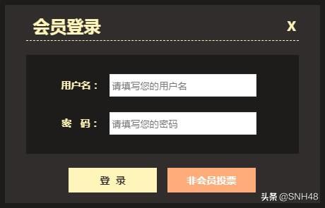 “新的旅程”SNH48 GROUP第六届偶像年度人气总决选投票攻略