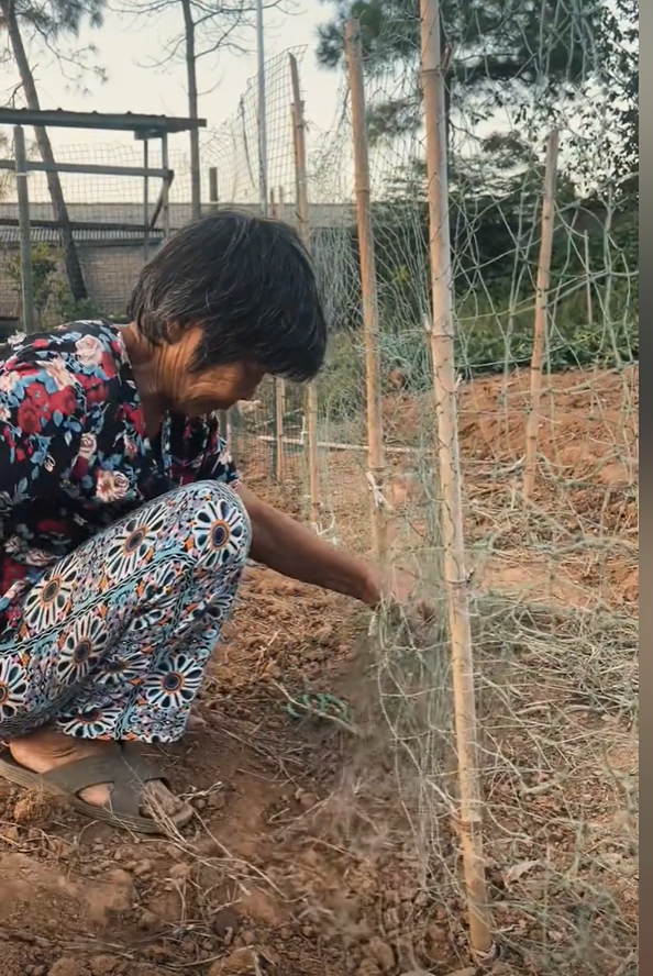 湖南女孩被誉为抖音“余华”，文笔细腻回忆童年，外婆是唯一女主