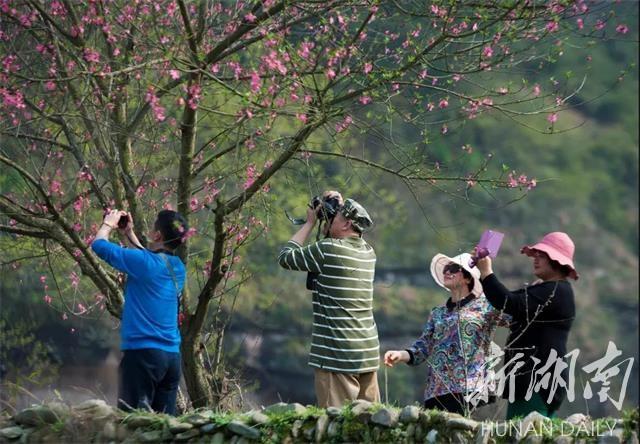 雪峰山脉，春意盎然，好看好吃更好玩！