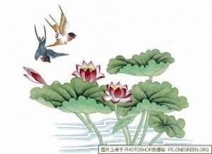 尤美(尤美【人间仙境】)