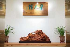 崇文馆(崇文馆开馆艺术大师齐聚杭州这所学校，助力孩子们成就艺术之梦)