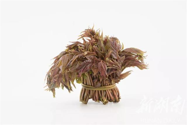 雪峰山脉，春意盎然，好看好吃更好玩！