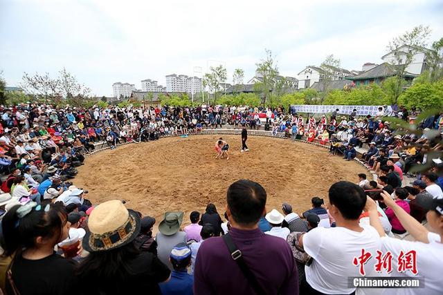 摔跤 跳板 荡秋千:延吉朝鲜族花样民俗庆端午