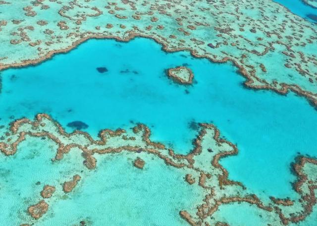 数学老师表白有笛卡尔曲线，地理老师有什么？