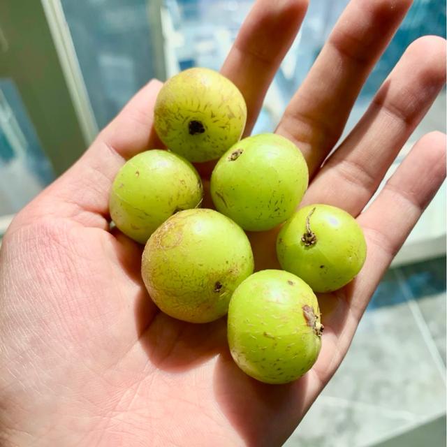 好吃又好看，但愣是叫不出名字的“水果们”