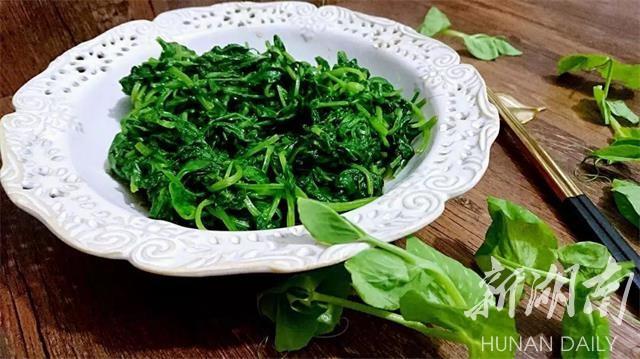 雪峰山脉，春意盎然，好看好吃更好玩！