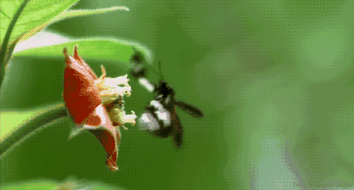一只蝴蝶扇动翅膀，真能引发12级台风？