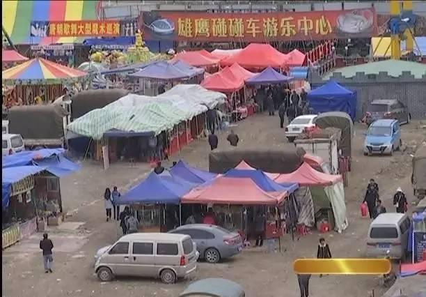 「今日宾川」赶会啦！瞧瞧今年牛井交流会到底咋个赶？