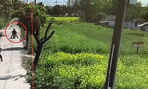 三名男子自从炸过一次粪坑后上瘾,从此一发不可收拾,还录下来日后“欣赏”