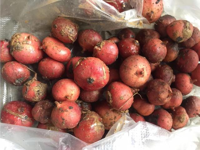 好吃又好看，但愣是叫不出名字的“水果们”