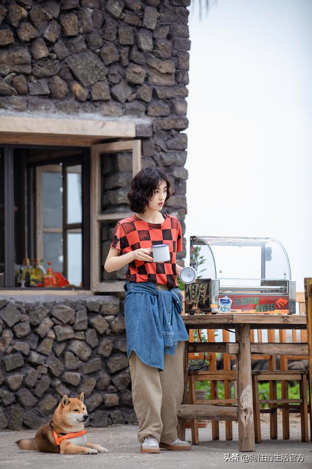 愿一切美好如初，《向往的生活》第六季治愈回归