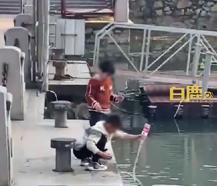 男孩玩水女子不放心远处观察，意外救了孩子一命！