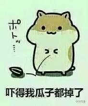 最陕西｜手榴弹砸核桃！陕西人的生存能力你服不服？