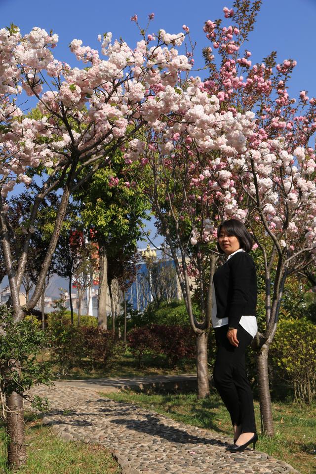 艳丽如霞,燃情似火