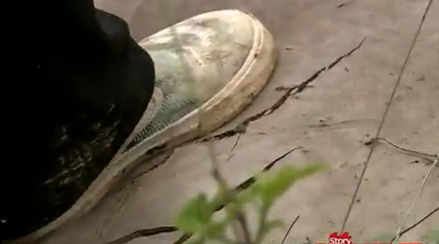 武汉矿场芦苇荡传出求救声，一女子深陷沼泽中，救援发现竟是孕妇