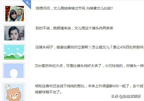 YY小纯就算再丑再胖，也总比文儿强吧，本人回应都是“粉丝”说的